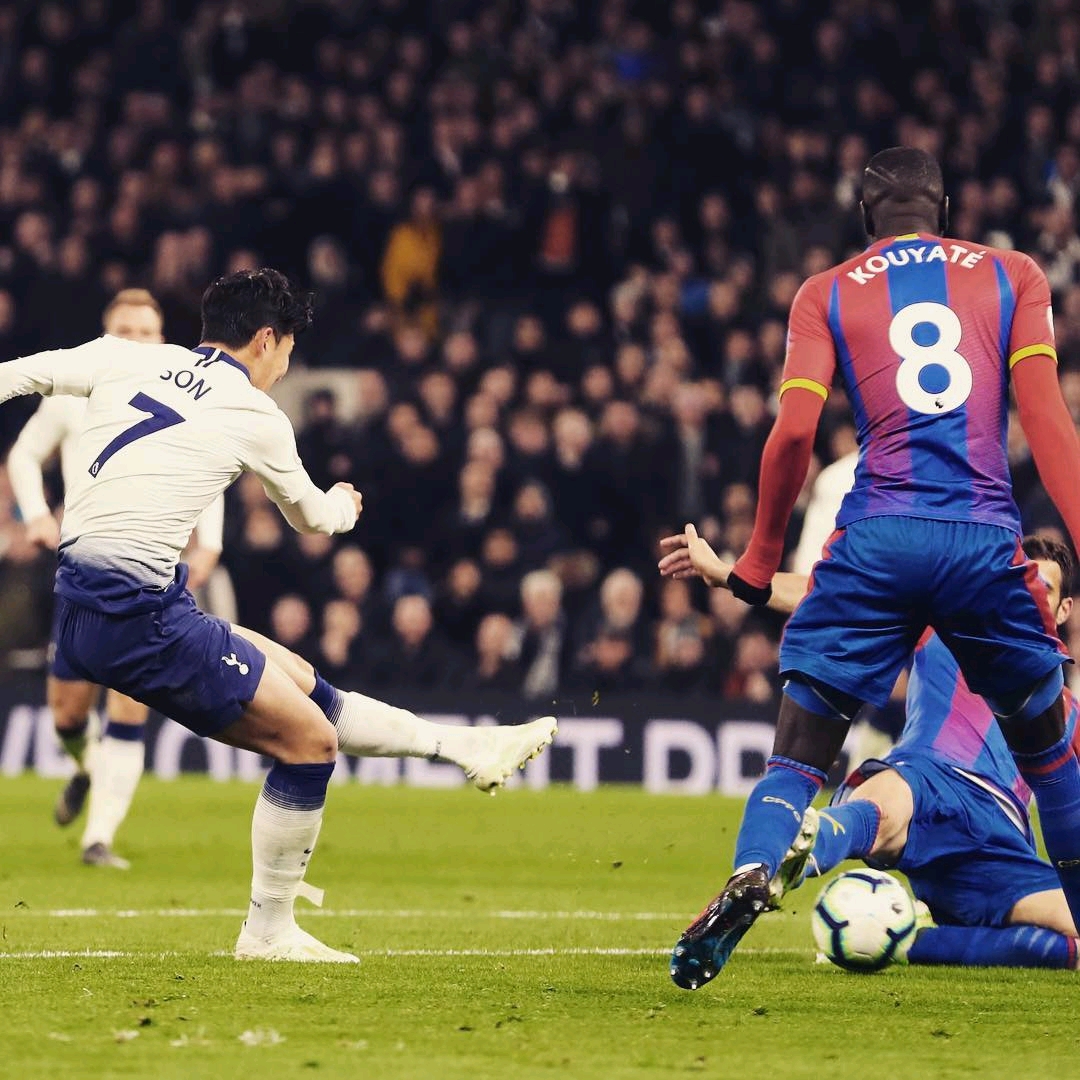 了球员的综 了球员的综