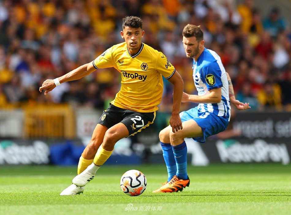 顿在比赛中 顿在比赛中